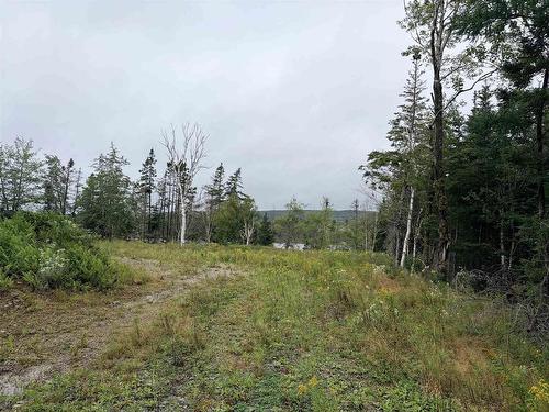 . Intervale Road, Huntington, NS 