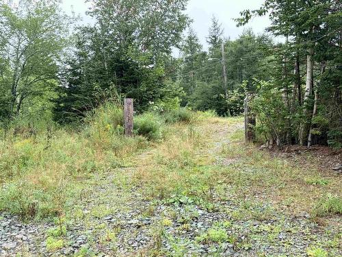 . Intervale Road, Huntington, NS 