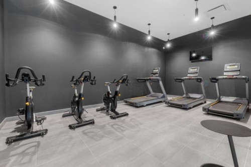 Salle d'exercice - 2901-1210 Rue Jeanne-Mance, Montréal (Ville-Marie), QC 