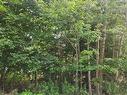 1 Pinehaven Drive, Halifax, NS 