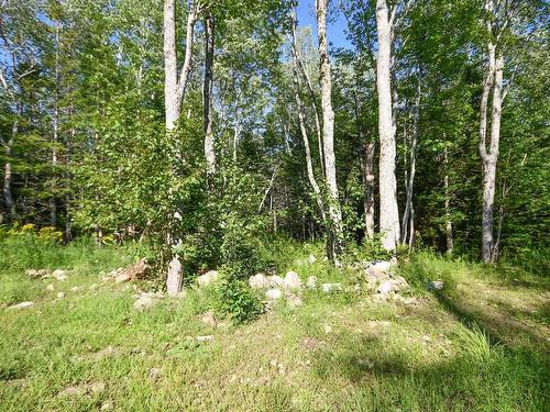 99 Farfields Lane, Beaver Bank, NS 