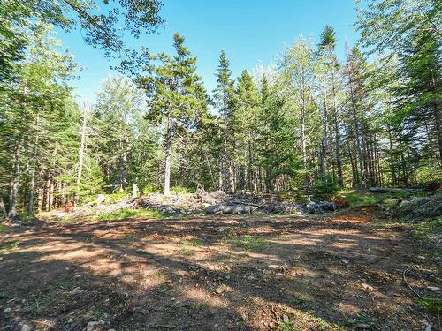 99 Farfields Lane, Beaver Bank, NS 