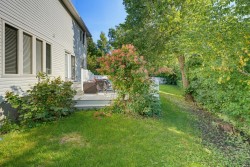 Courtyard - 