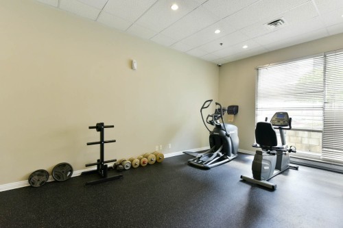 Salle d'exercice - 624-1225 Rue Notre-Dame O., Montréal (Ville-Marie), QC 