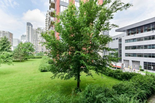 Jardin - 624-1225 Rue Notre-Dame O., Montréal (Ville-Marie), QC 