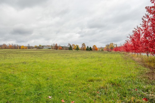 Overall view - 1389Z Ch. Dymond, Dunham, QC 
