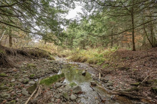 Wooded area - 1389Z Ch. Dymond, Dunham, QC 