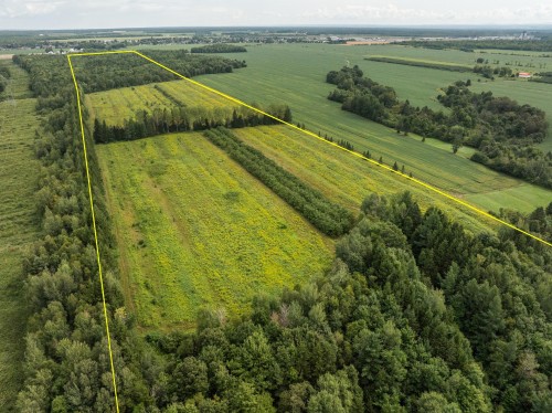 Vue d'ensemble - 792 Ch. Des Îles, Lévis (Desjardins), QC 