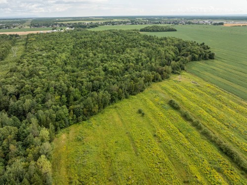 Vue d'ensemble - 792 Ch. Des Îles, Lévis (Desjardins), QC 