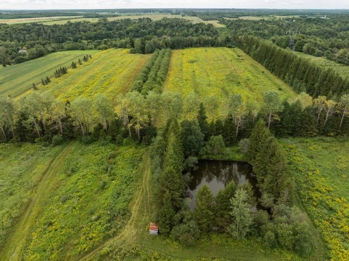 Terre/Terrain - 792 Ch. Des Îles, Lévis (Desjardins), QC 