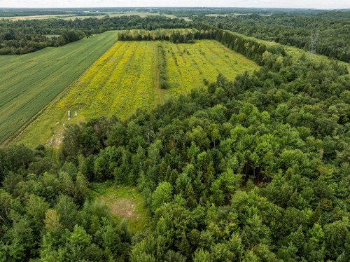 Terre/Terrain - 792 Ch. Des Îles, Lévis (Desjardins), QC 