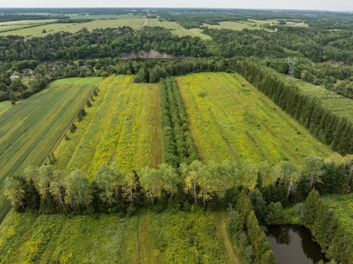 Terre/Terrain - 792 Ch. Des Îles, Lévis (Desjardins), QC 