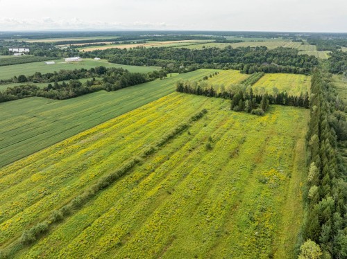 Terre/Terrain - 792 Ch. Des Îles, Lévis (Desjardins), QC 