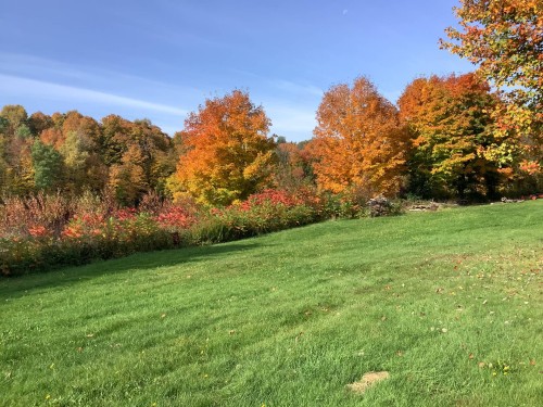 Terre/Terrain - 792 Ch. Des Îles, Lévis (Desjardins), QC 