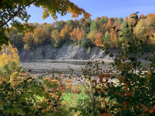 Terre/Terrain - 792 Ch. Des Îles, Lévis (Desjardins), QC 
