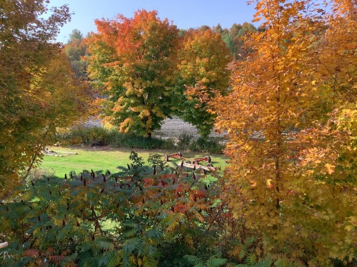 Terre/Terrain - 792 Ch. Des Îles, Lévis (Desjardins), QC 