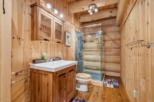 Salle de bains - 221 Ch. De L'Avalanche, Lac-Supérieur, QC 