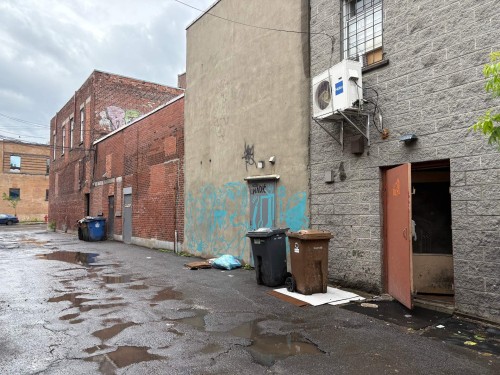 Face arrière - 1828 Av. Du Mont-Royal E., Montréal (Le Plateau-Mont-Royal), QC 