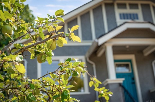 733 Fitzwilliam St, Nanaimo, BC 
