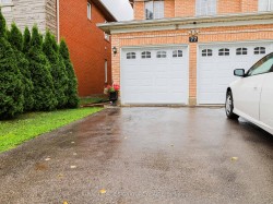 1 Bed 1Bath Basement-77 Rushingbrook Drive  Richmond Hill, ON L4S 1X4