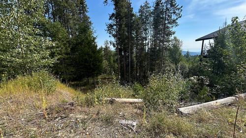 849 Deer Run Drive, Kimberley, BC 
