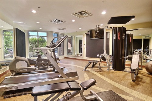 Salle d'exercice - 304-201 Ch. De La Pointe-Sud, Montréal (Verdun/Île-Des-Soeurs), QC 