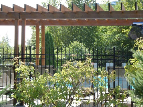 Piscine - 304-201 Ch. De La Pointe-Sud, Montréal (Verdun/Île-Des-Soeurs), QC 
