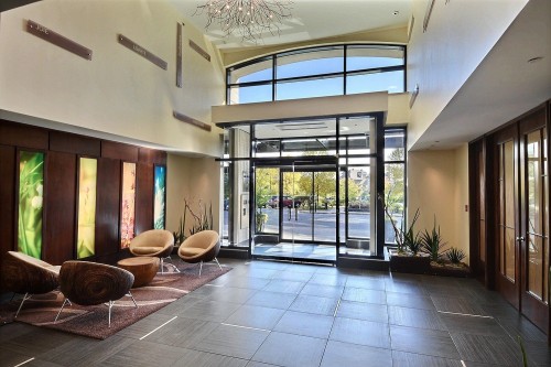 Hall d'entrée/Vestibule - 304-201 Ch. De La Pointe-Sud, Montréal (Verdun/Île-Des-Soeurs), QC 