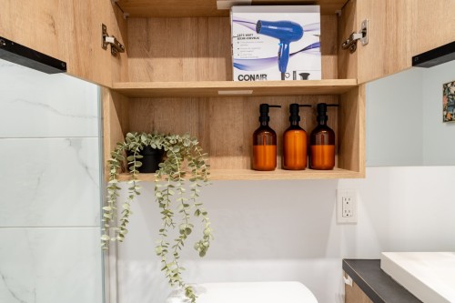 Bathroom - 3887 Rue Mackay, Longueuil (Saint-Hubert), QC 