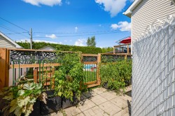 Jardin - 