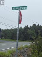 54 Big Meadow Drive  Logy Bay - Middle Cove- Outer Cove, NL A1K 0N1