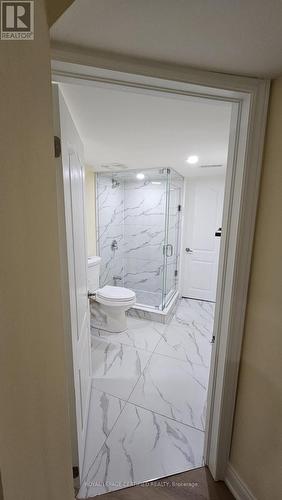 BASEMENT - 102 BUNCHBERRY WAY , Brampton, Ontario L6R 2E8 2