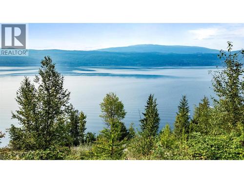 8021 Squilax-Anglemont Road, Anglemont, BC 