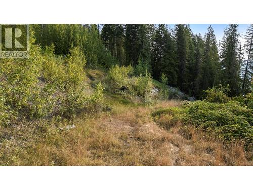 8021 Squilax-Anglemont Road, Anglemont, BC 