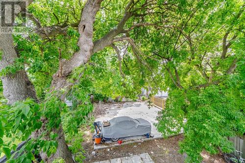 11 Maple Street, Oshawa, ON 
