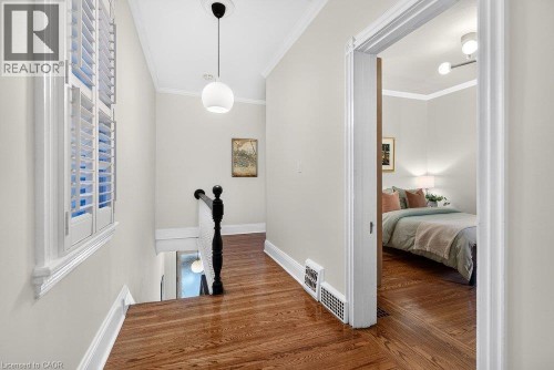 Hardwood flooring, plantation shutters, crown molding, and a modern spherical pendant light - 16 Bruce Street, Hamilton, ON 