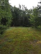17 Leggetter's Lane  Eastport, NL A0G 1Z0