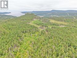 Lot A Butlers Road  Holyrood, NL A0A 2R0