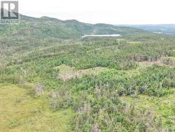 Lot B Butlers Road  Holyrood, NL A0A 2R0