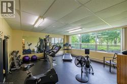 Fitness room with expansive window wall, resilient flooring, mirrored wall, and fluorescent ceiling lighting - 