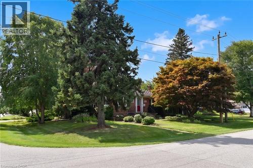 Manicured lawn with mature trees and established landscaping - 936 Boothman Avenue, Burlington, ON 