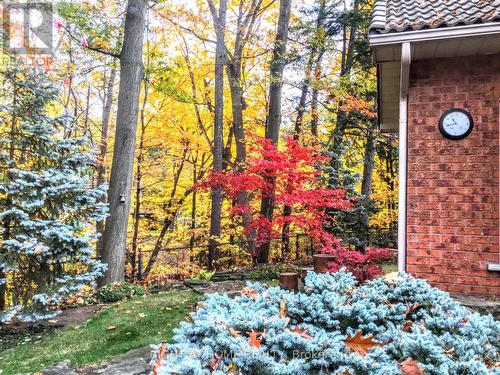 2175 Oneida Court, Mississauga, ON 