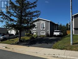 9 Elmcliffe Street  Mount Pearl, NL A1N 4N8