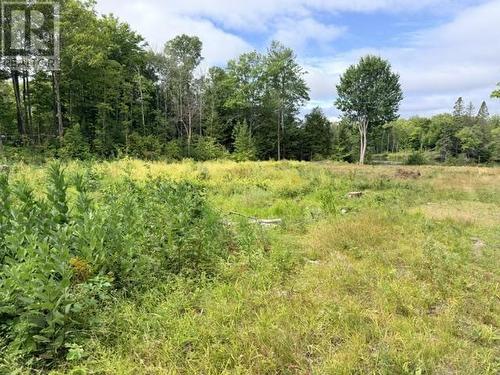 3 River Dr, Blind River, ON 
