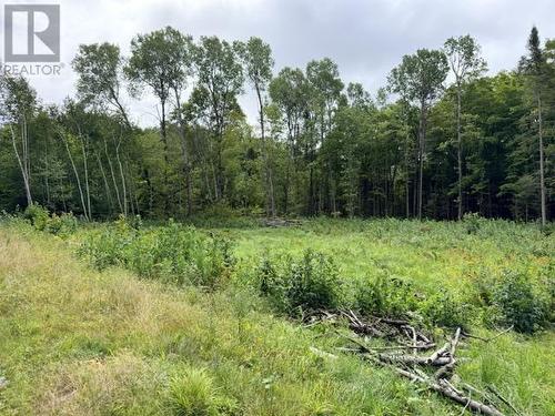 3 River Dr, Blind River, ON 