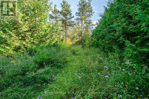 323199 Durham Road E, West Grey, ON 