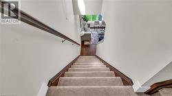 Carpeted staircase with dark wood-finish handrail and risers - 