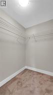 Built-in wire shelving, overhead flush mount lighting, and carpeted flooring - 