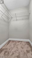 Wall-to-wall carpeting with wire shelving - 