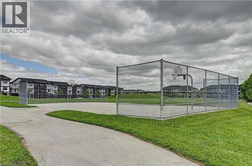 Basketball court with chain-link fencing, surrounded by green space - 102 Wheat Lane, Kitchener, ON 
